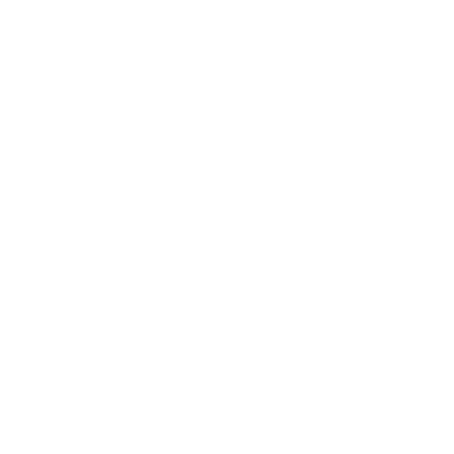 Courier Services